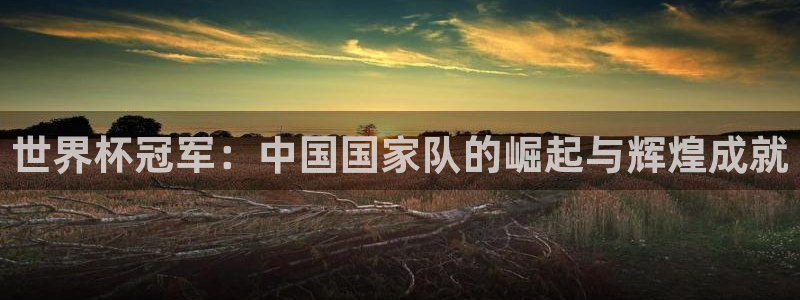 世界杯足球比赛:世界杯冠军:中国国家队的崛起与辉煌成就