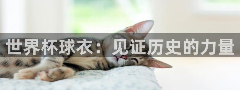 世界杯系列赛:世界杯球衣:见证历史的力量