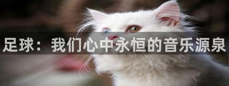 足球世界杯2026:足球:我们心中永恒的音乐源泉