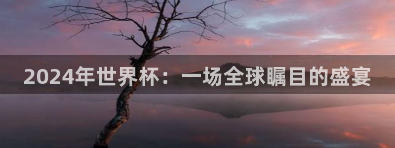 世界杯足球赛2026赛程时间:2024年世界杯:一场全球瞩目的盛宴