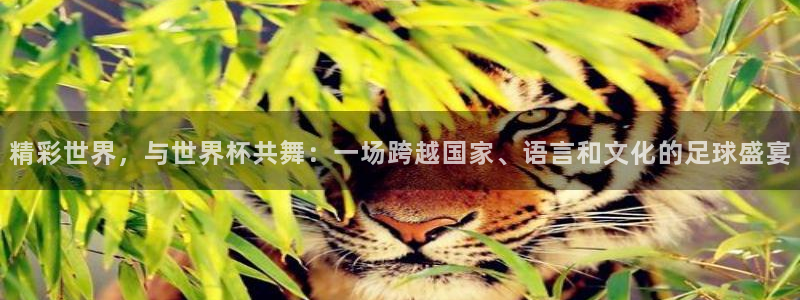 亚洲区世界杯预选赛:精彩世界,与世界杯共舞:一场跨越国家、语言和文化的足球盛宴