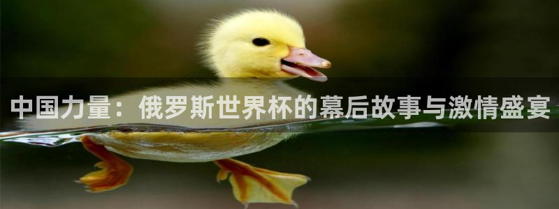 世界杯预选赛2026:中国力量:俄罗斯世界杯的幕后故事与激情盛宴