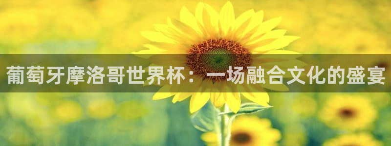 世界杯系列赛:葡萄牙摩洛哥世界杯:一场融合文化的盛宴