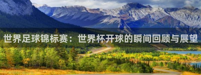 世界杯足球比赛:世界足球锦标赛:世界杯开球的瞬间回顾与展望